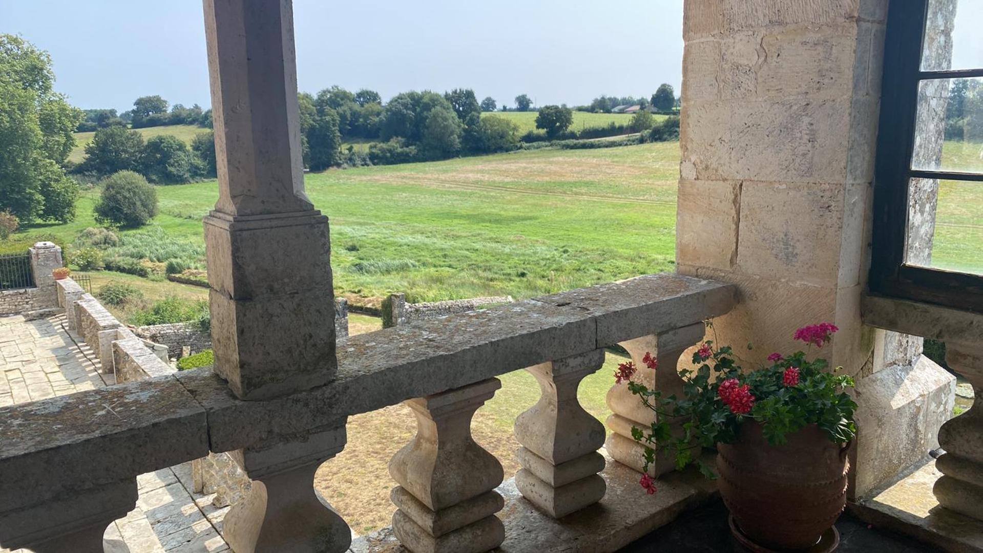 Chateau De Cibioux Surin  Екстер'єр фото