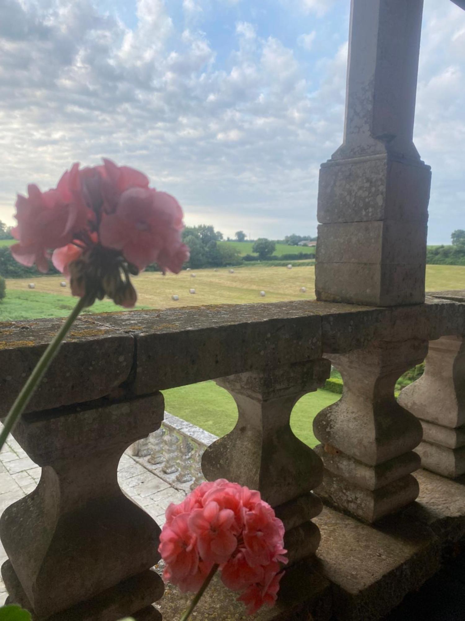 Chateau De Cibioux Surin  Екстер'єр фото